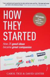Book Cover for How They Started by Carol Tice and David Lester
